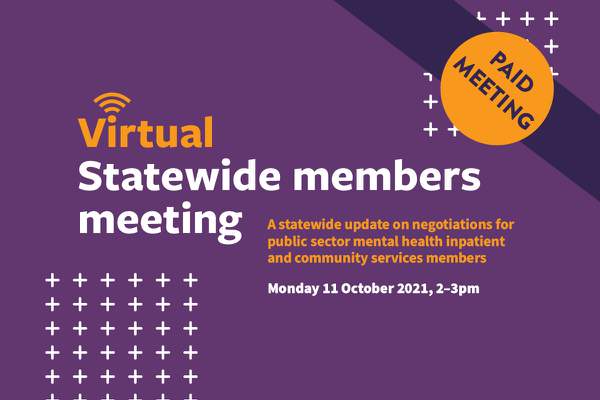 Statewide public sector mental health EBA members meeting