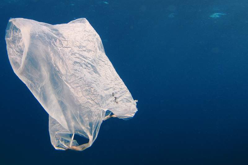 Ban the plastic bag
