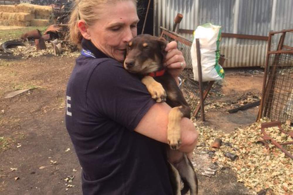 Meet Sandi Grieve – CEO, nurse practitioner and lately, short order cook