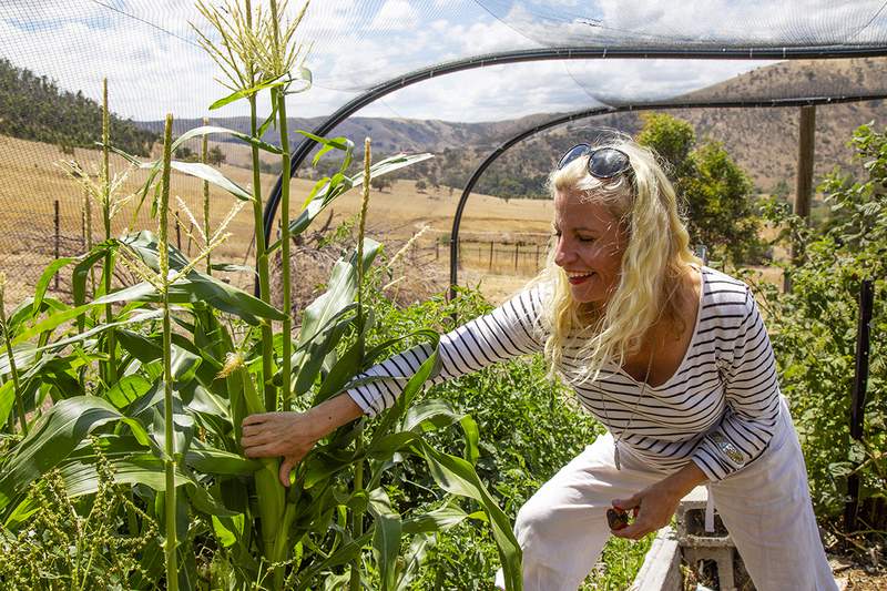 Caring for humans and their habitat – meet Vikki Patten