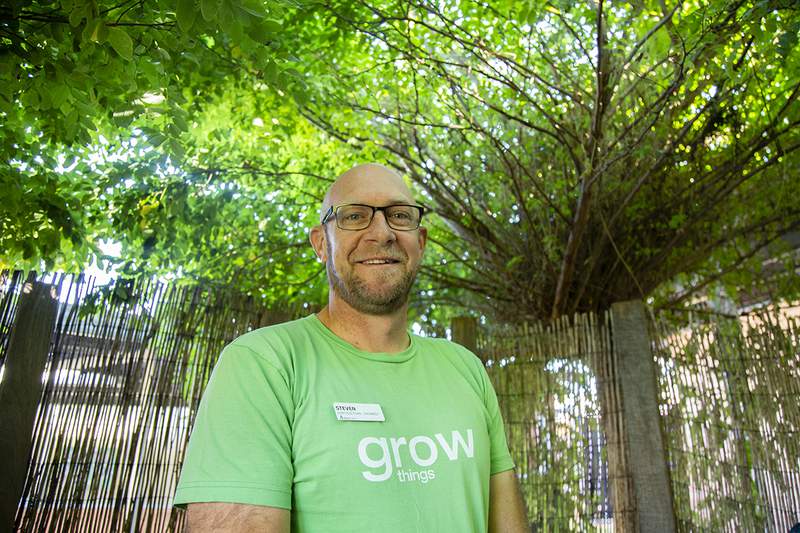 A tree change at the Austin – Steven Wells