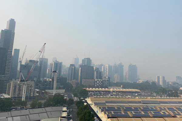 Health impacts of bushfire smoke: what they are and how to avoid them